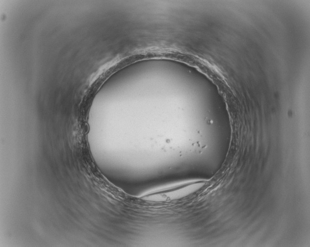 X0000060261160200511181347