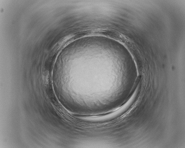 X0000060261161200511181347