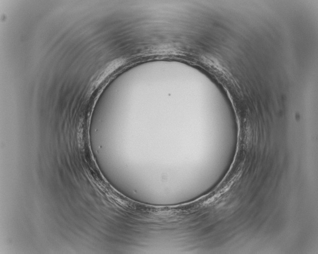 X0000060261162200511181347