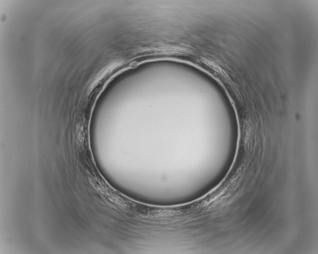 X0000060261163200511181347