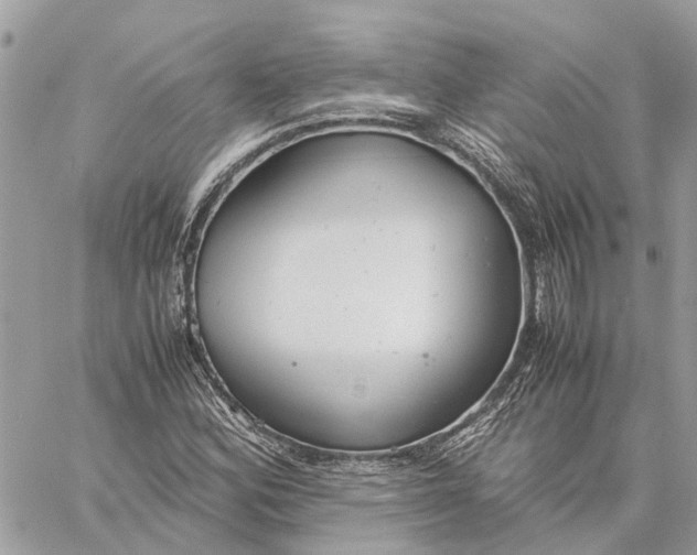 X0000060261164200511181347