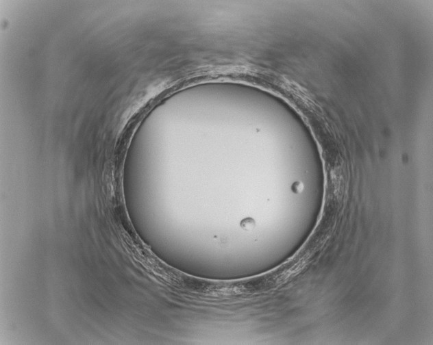 X0000060261165200511181347