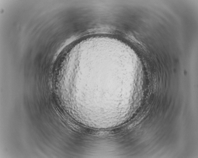 X0000060261166200511181347