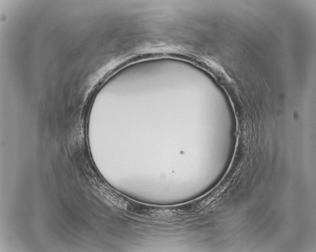 X0000060261167200511181347