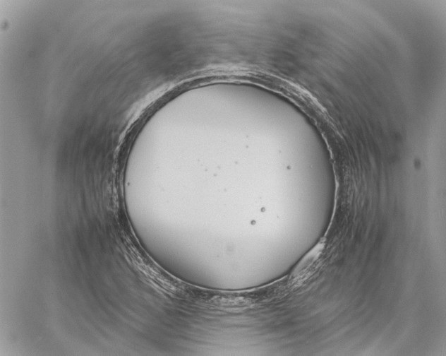 X0000060261168200511181347