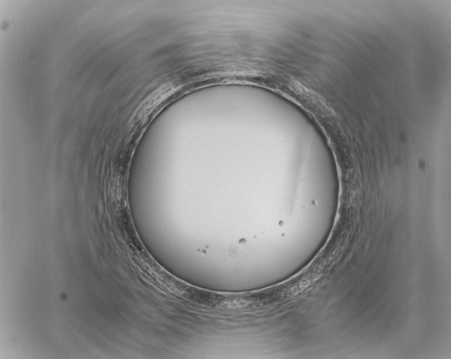 X0000060261169200511181347