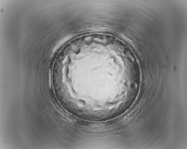 X0000060261171200511181346