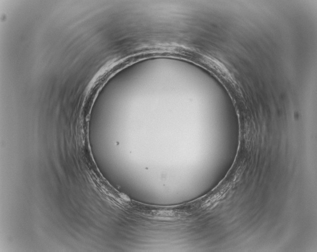 X0000060261172200511181346