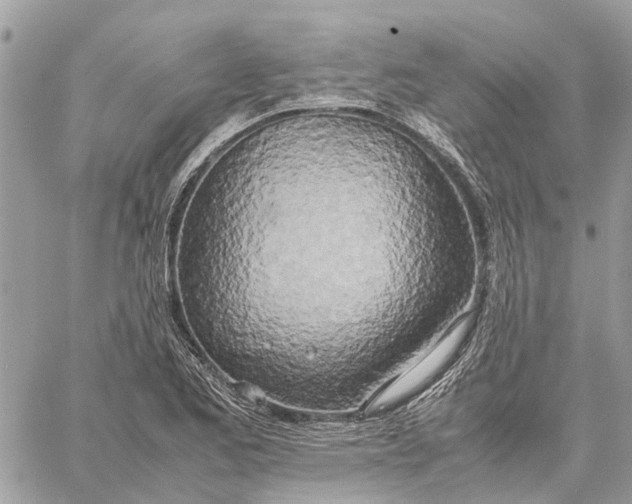 X0000060261173200511181346