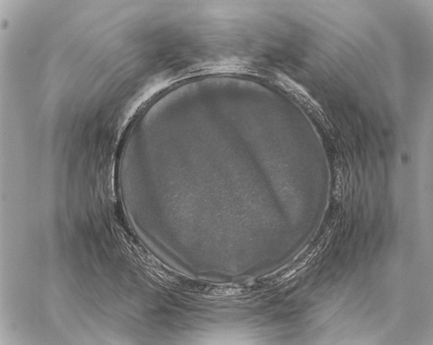 X0000060261174200511181346