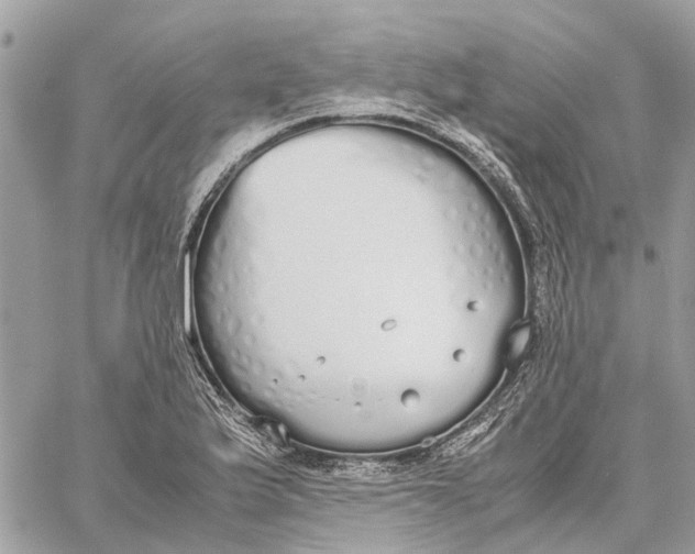 X0000060261175200511181346