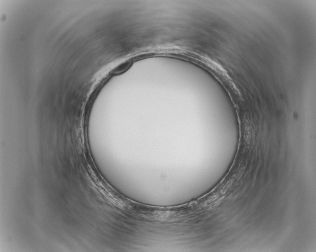 X0000060261176200511181346