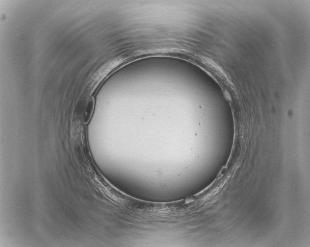 X0000060261177200511181346