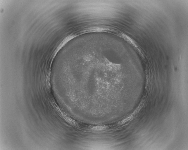 X0000060261178200511181346