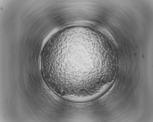 X0000060261180200511181346