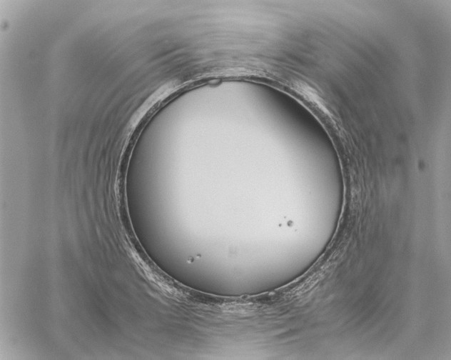 X0000060261181200511181346