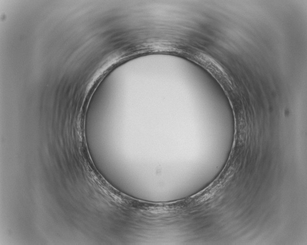 X0000060261182200511181346