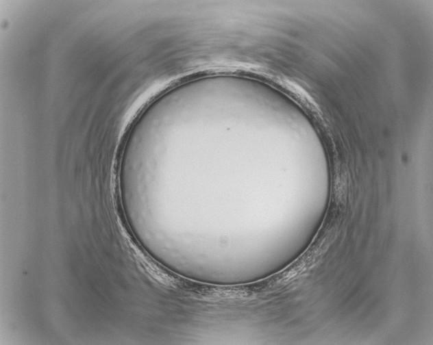 X0000060261183200511181346