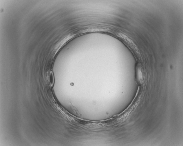 X0000060261185200511181346