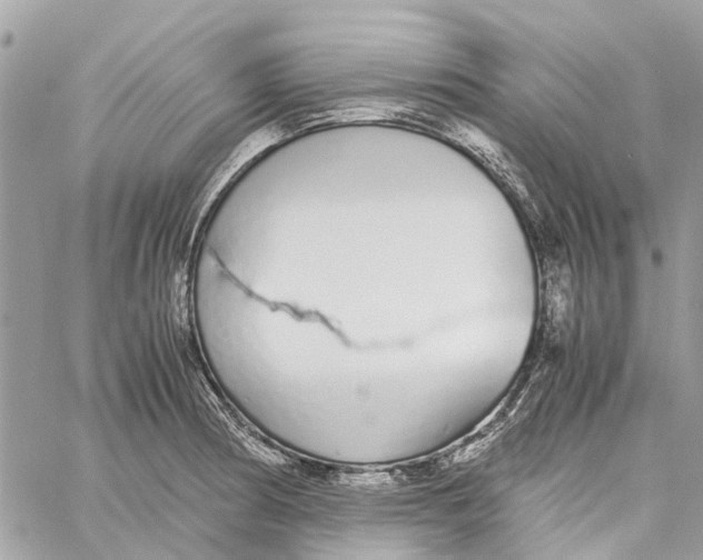 X0000060261186200511181346