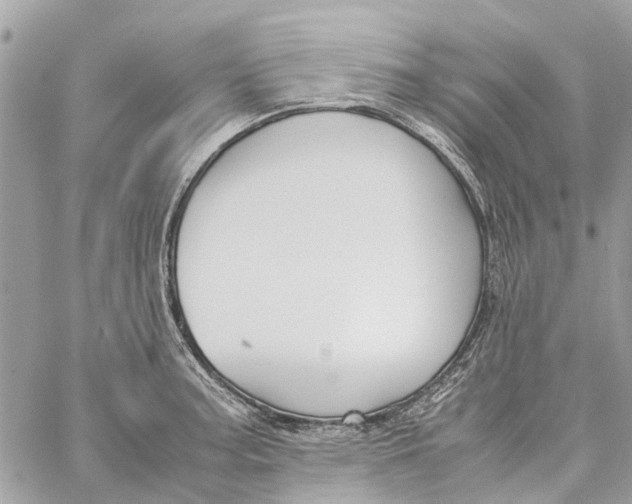 X0000060261187200511181346