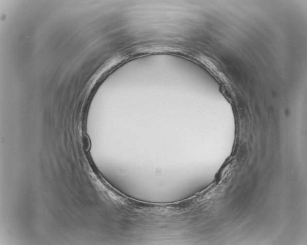 X0000060261189200511181346