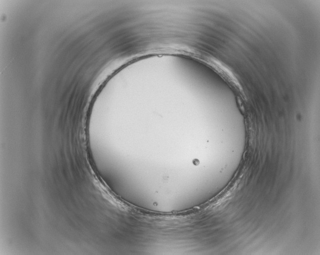 X0000060261192200511181346