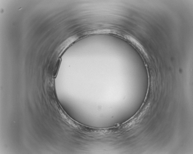 X0000060261193200511181346