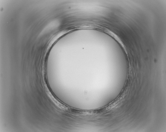 X0000060261195200511181346