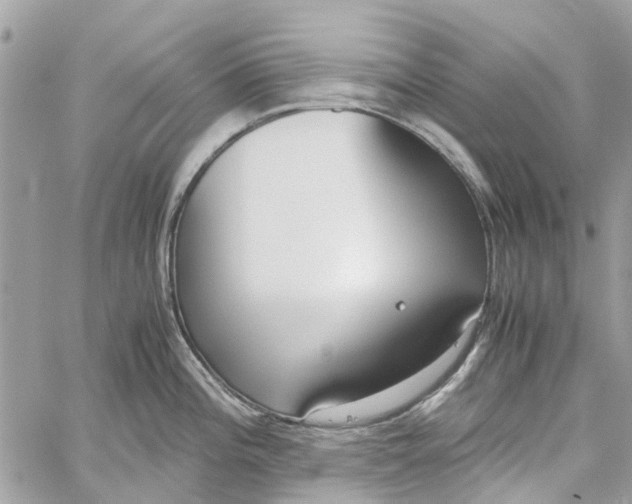 X0000060261196200511181346