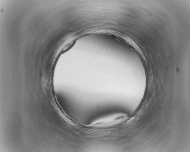 X0000060261197200511181346