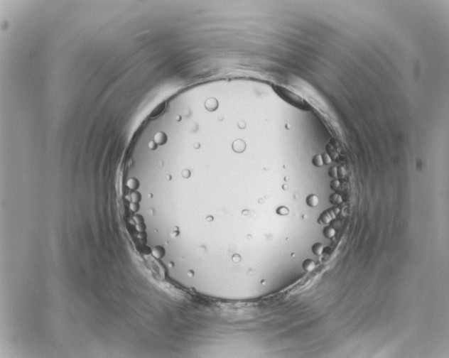 X0000060261198200511181346