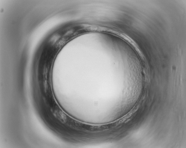 X0000060261199200511181346