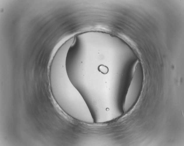 X0000060261200200511181346