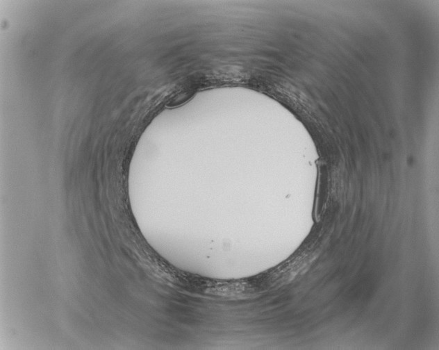 X0000060261201200511181345