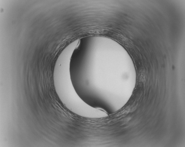 X0000060261202200511181345