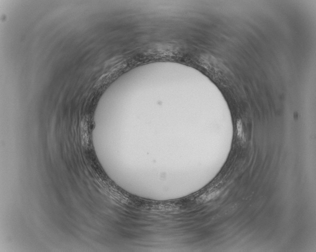 X0000060261203200511181345