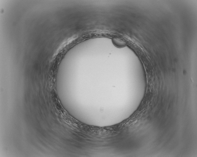 X0000060261207200511181345