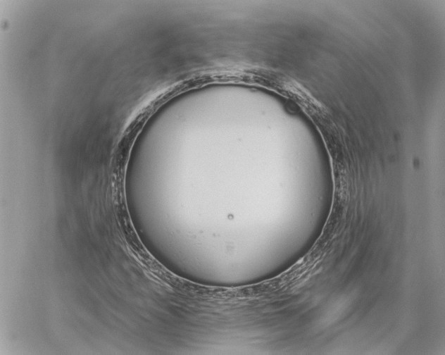 X0000060261208200511181345