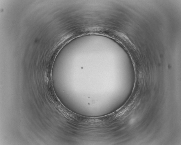 X0000060261209200511181345