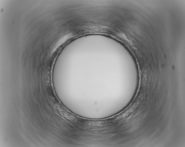 X0000060261211200511181345