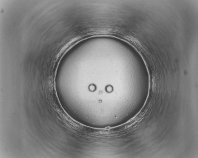 X0000060261212200511181345