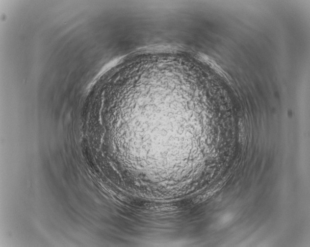 X0000060261213200511181345