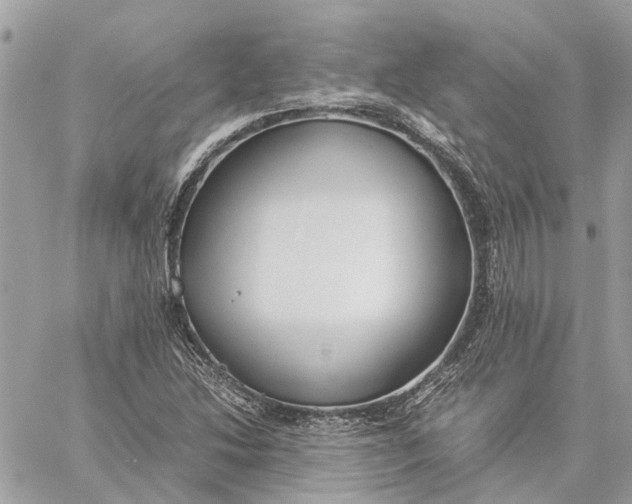 X0000060261214200511181345