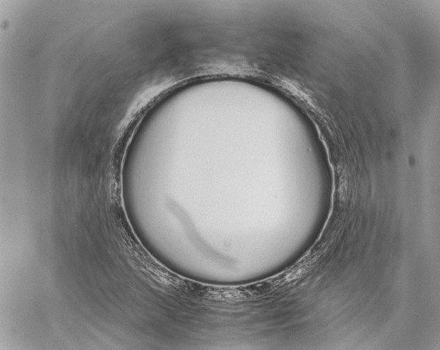 X0000060261215200511181345