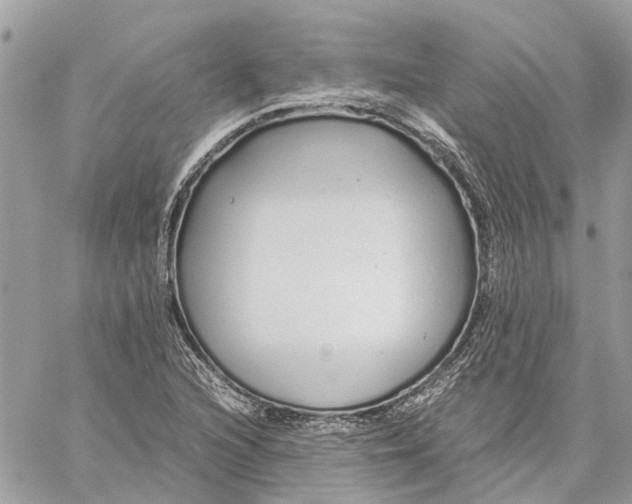 X0000060261216200511181345