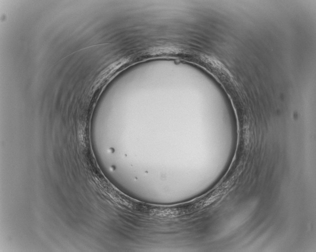 X0000060261217200511181345