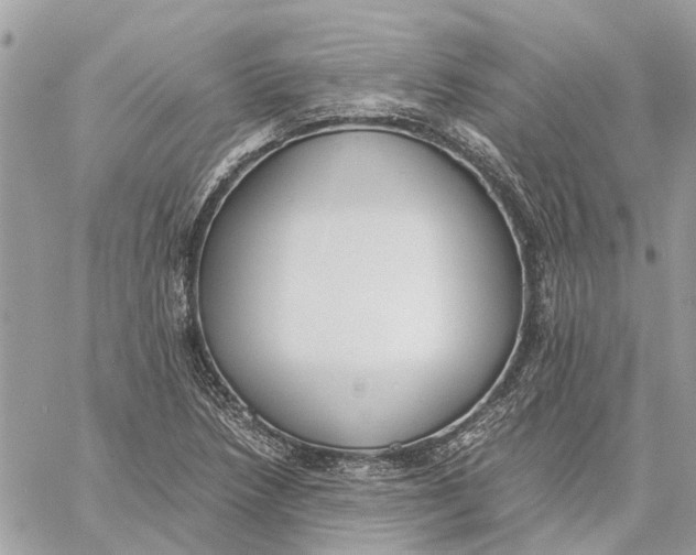 X0000060261218200511181346