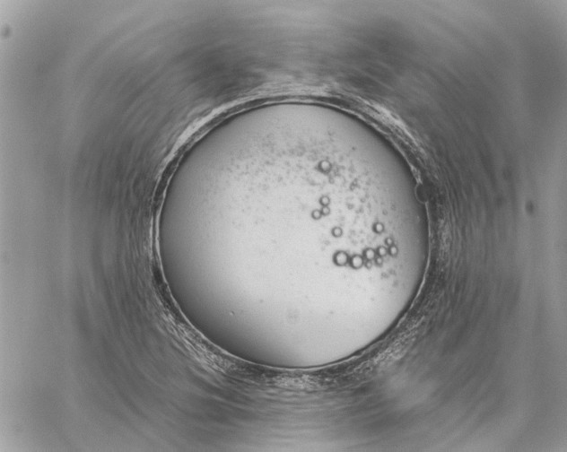 X0000060261220200511181346