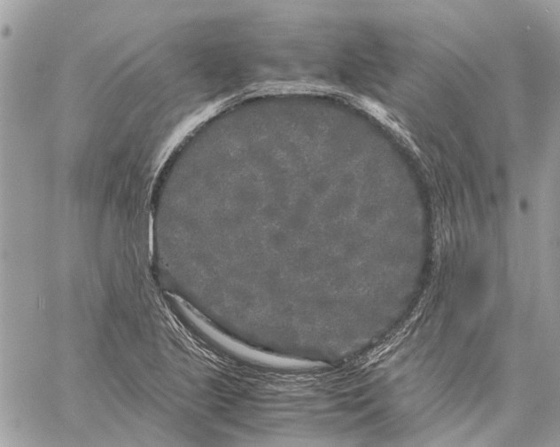 X0000060261221200511181346